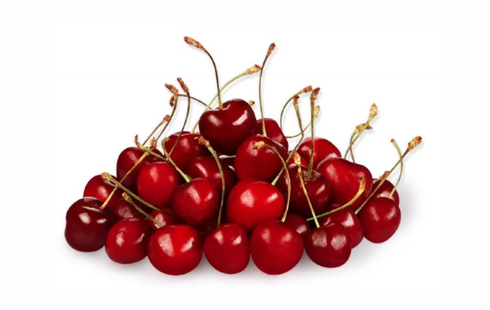 Закупаем вишню. Вишня бусинка. Шпанская вишня. Закупаем вишню. Черешня на белом фоне.