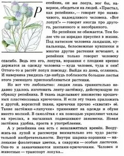 Зеленые страницы 2 класс подорожник