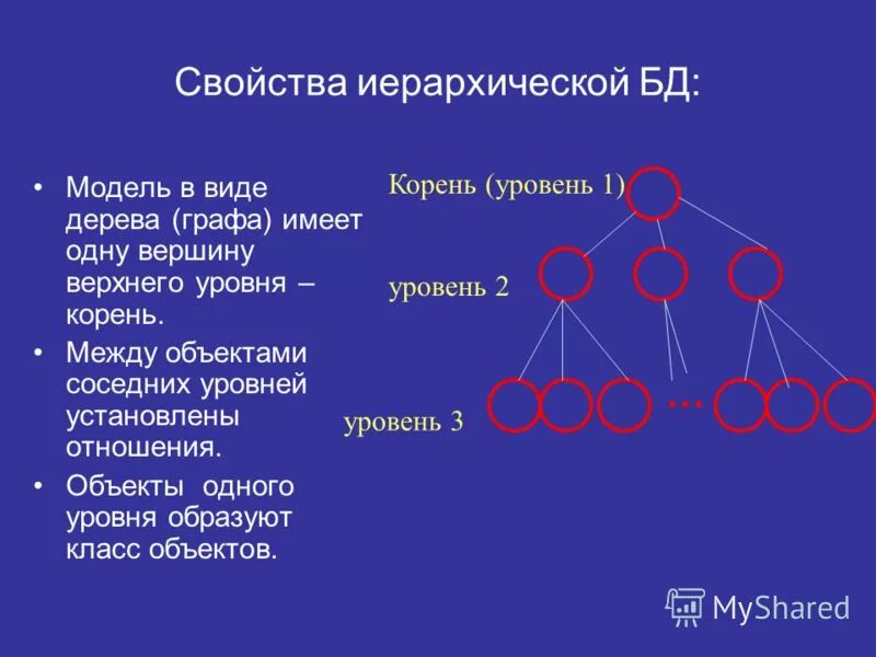 Корневой уровень