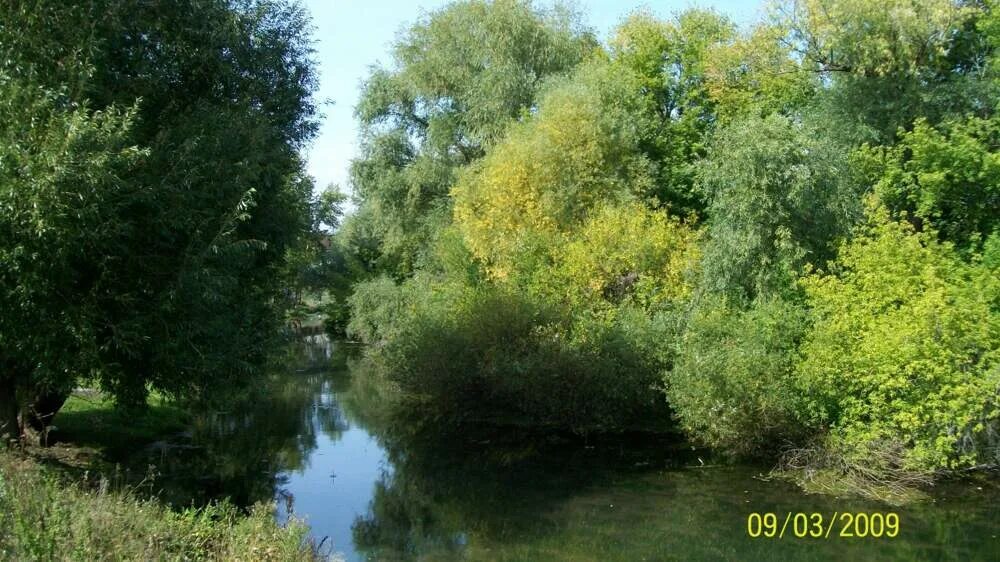 Река белая. Мелеуз река белая. Уровень реки. Уровень рек в уфе. Речка белая мелеуз.