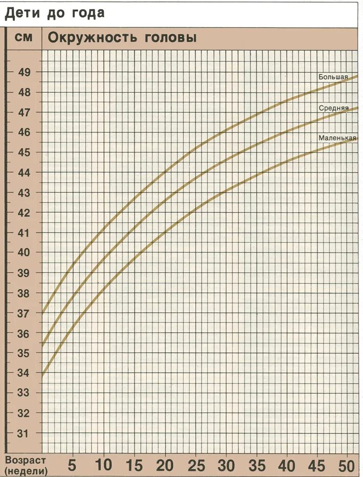 График веса новорожденных. Нормы прибавки веса. График набора веса новорожденного. Окружность головы.