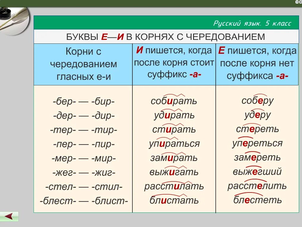 Слова в корне которых нужно. Чередование гласных в корне е и. Корни с чередованием гласных е и. Правописание гласных в корне с чередованием 5 класс.