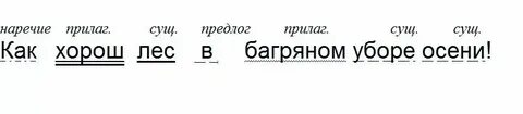 Синтаксический разбор роняет лес багряный свой убор