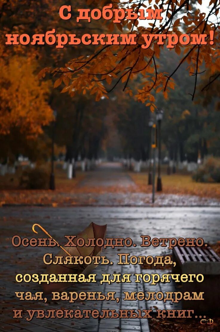 Пин от пользователя Диана на доске Осень( С добрым утром) Доброе утро, Счастливы