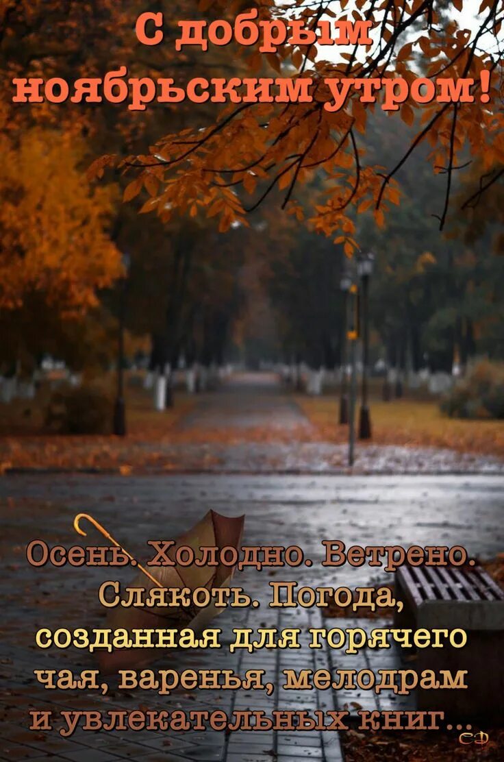 С добрым осенним мудрые. Умные пожелания с добрым осенним утром. С добрым осенним утром стихи. Осенние мысли и высказывания. Осень мысли высказывания.