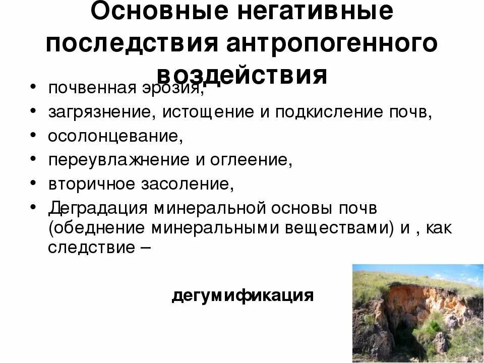 Антропогенное воздействие допустимо