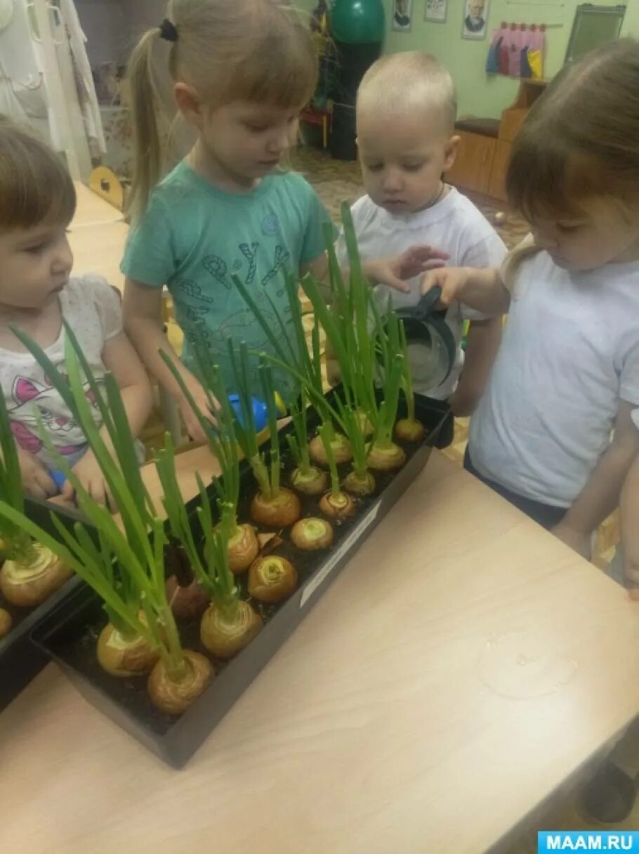 Луковица для детского сада. Украсить луковицу в детский сад.