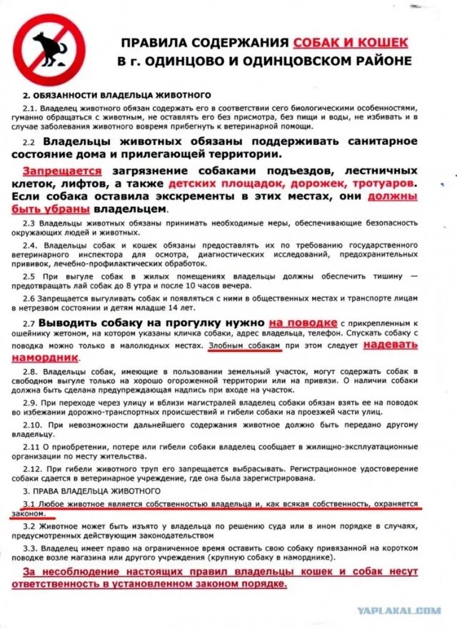 Образец заявления на собаку. Нарушение правил содержания домашних животных. Нарушение правил содержания собак. Правила выгула собак. Образец жалобы на выгул собак.