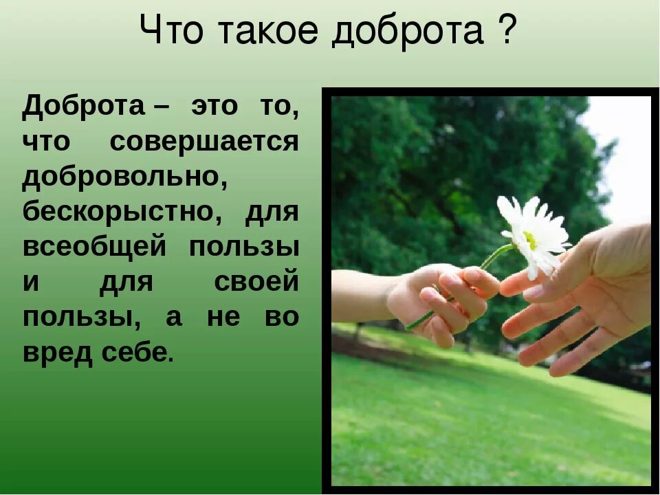 Общество доброта. О доброте. добропочта. добро это для детей. что такое доброта объяснение для детей.