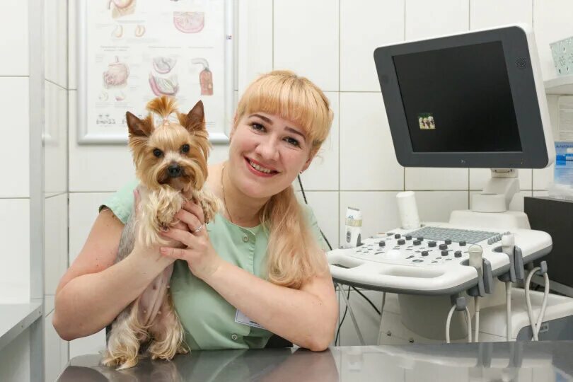 Биосфера киров ветклиника на чернышевского. Биосфера киров ветклиника солнечная. Биосфера киров ветклиника солнечная. Солнечная 19б киров ветклиника. Биосфера киров ветклиника солнечная.