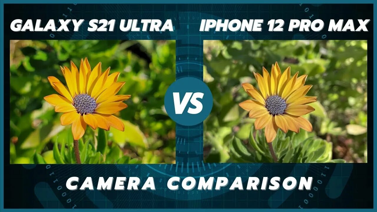 Сравнение камеры 12 и 13. Камера самсунг s21 Ultra. Samsung Galaxy s21 vs professional Camera. Samsung s21 vs iphone 12 Camera. Сравнение фото айфон и самсунг.