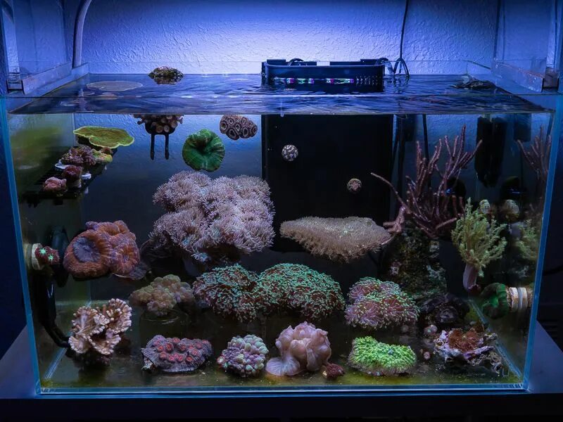 Marine aquarium. Морской аквариум «Батискаф». Живые камни для морского аквариума. Морской аквариум камни. Морской нано аквариум.