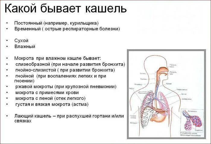 Сильный кашель долго. Сухой кашель с мокротой без температуры. Кашель после коронавируса у ребенка. Кашель с мокротой причины.