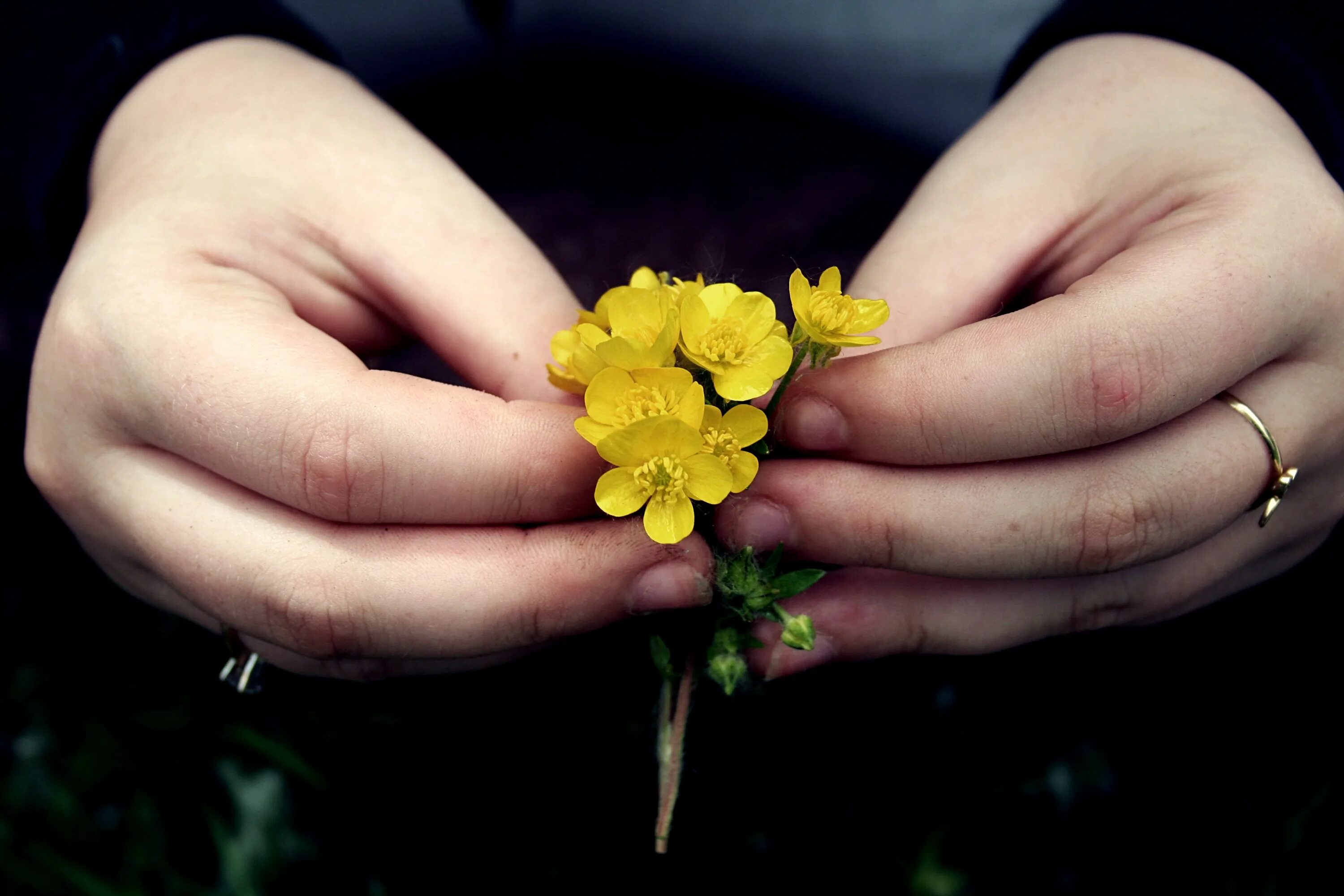 Цветок на руку.. Желтые цветы в руках. Цветы в ладонях. Мелкие цветы в руках. Желтое запястье