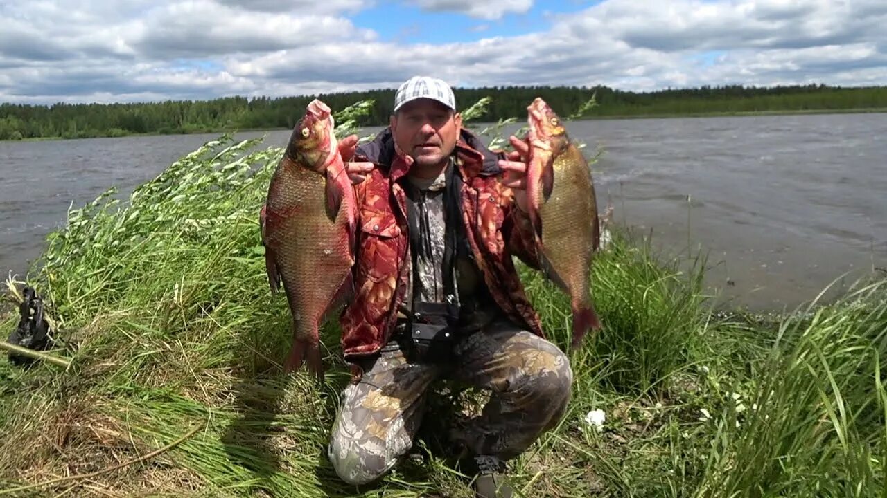 Лещи на белоярскком водохранилище. Рыбалка на Белоярке. Рыбалка на Урале. Белоярское водохранилище рыбалка. Прогноз клева белоярский свердловская