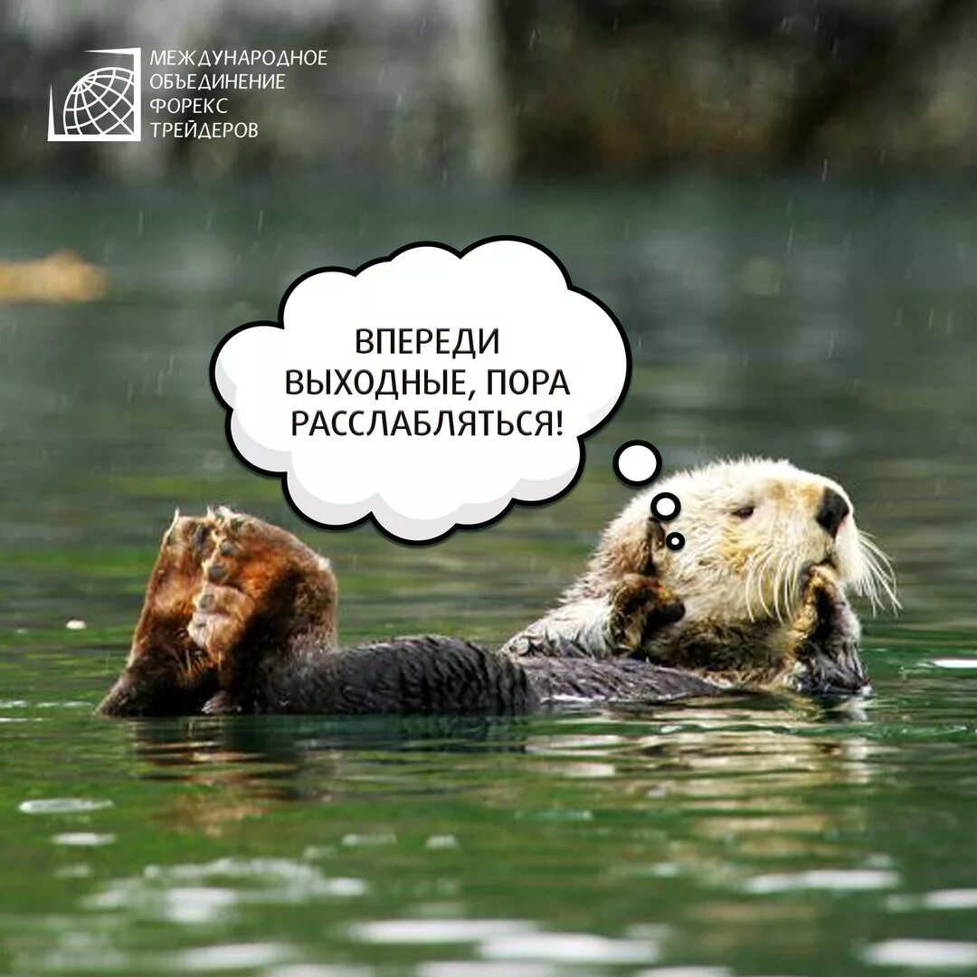 Пт выходной