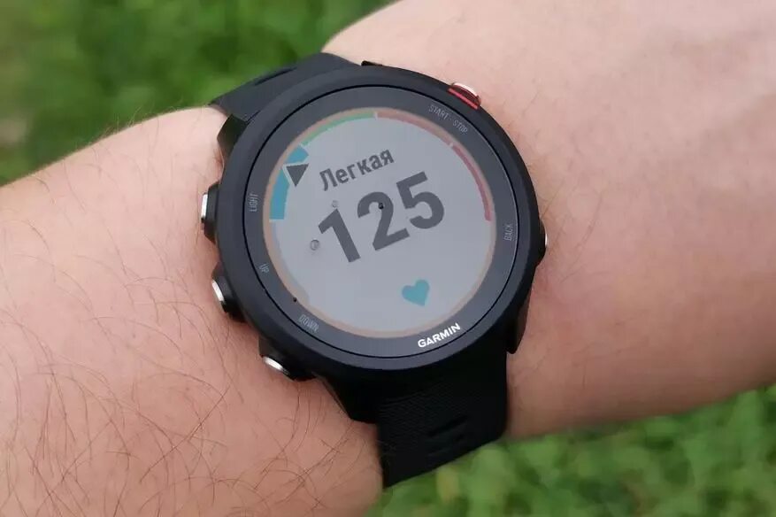 Forerunner 245. Garmin forerunner 55 aqua (010-11251-9r). Garmin forerunner 245 music. Garmin forerunner 245 white. 245 music.