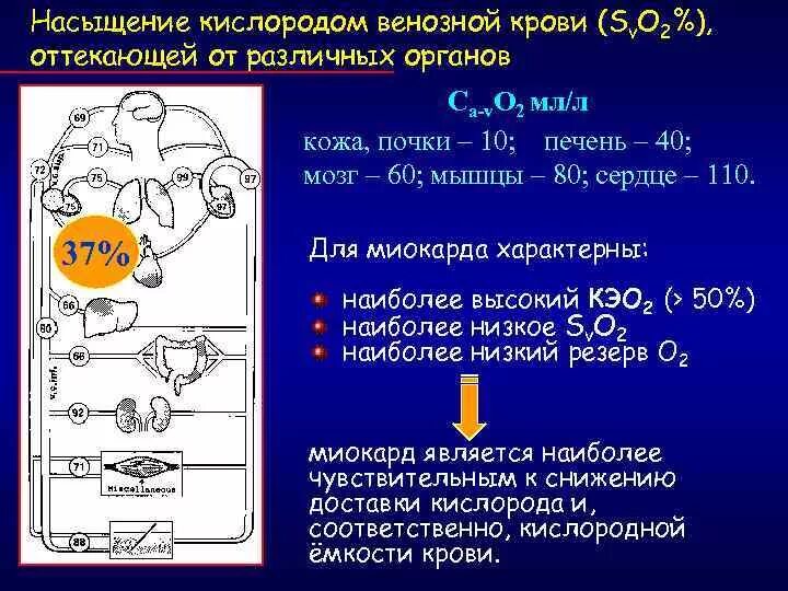 Насыщение крови кислородом. Уровень насыщения крови кислородом. Процесс обогащения крови кислородом. Оценка сатурации кислорода при коронавирусе. Как изменяется кислород в крови