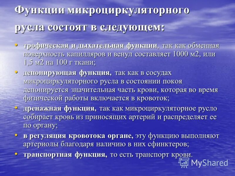 Функции эндотелия микроциркуляторного русла. Обменные сосуды микроциркуляторное русло. Микроциркуляторное русло функции. Функции сосудов микроциркуляторного русла. Микроциркуляторное русло функции.