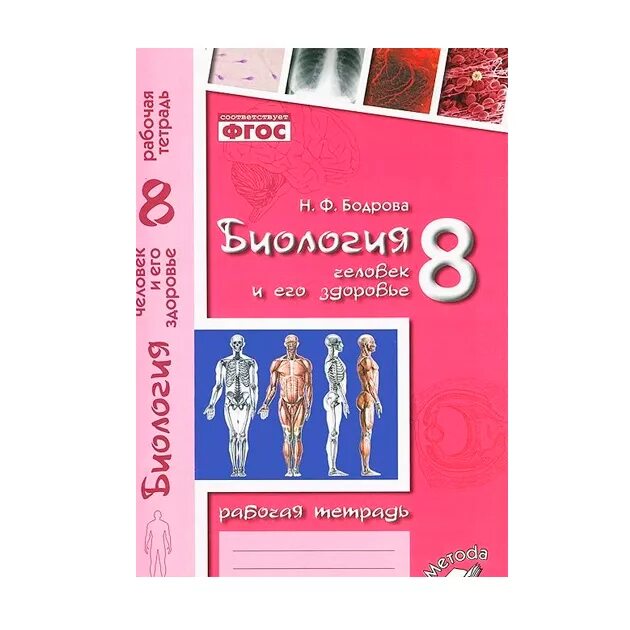 Биология 8 класс богданова. Биология 8 класс рабочая тетрадь. Рабочая тетрадь по биологии 8 класс Бодрова. Биология 8 класс человек. Биология рабочая тетрадь Бодрова.