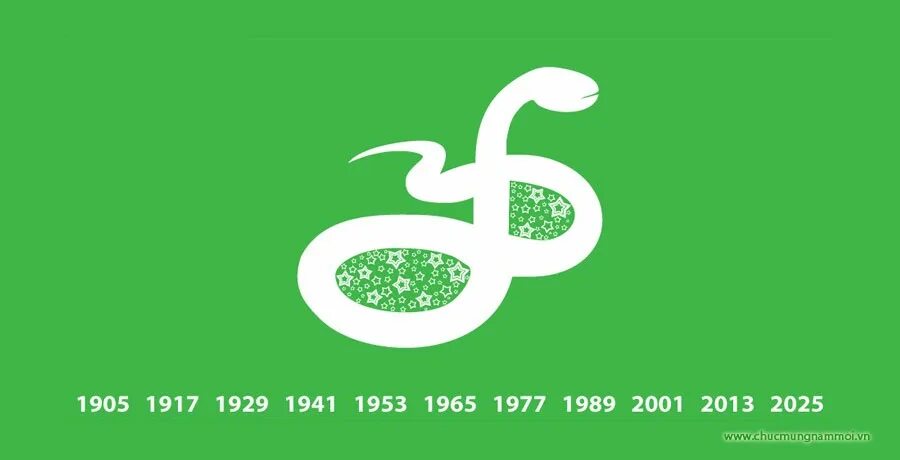 Год змеи 2025. Змея год по восточному календарю. 2025 Год по восточному календарю. Год змеи 2025 для змеи.
