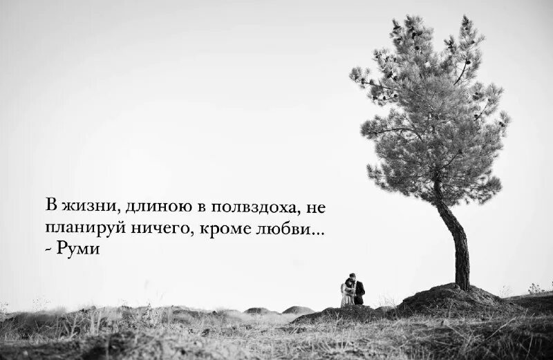 Юлия маргулис. Процесс длиною в жизнь. У каждого свой путь цитаты. Процесс длиною в жизнь. Смысл жизни.