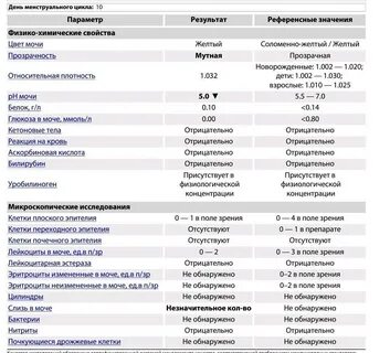 Лейкоциты 3 эритроциты 1 анализ мочи