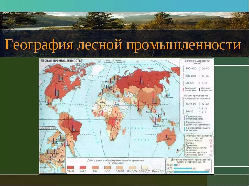 центры лесной и деревообрабатывающей промышленности. центры химической промышленности в россии на контурной карте. центры целлюлозно бумажной промышленности в россии. отрасли деревообрабатывающей промышленности. на контурной карте россии, центры лесной промышленности.