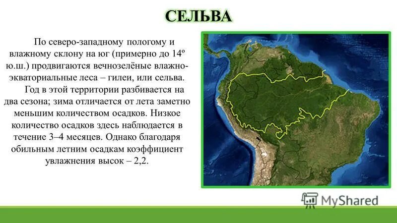 Положение природной зоны влажных экваториальных лесов. Природные зоны южной америки 7. Географическое положение экваториальных лесов южной америки. Южная америка. Климат сельвы в южной америке.