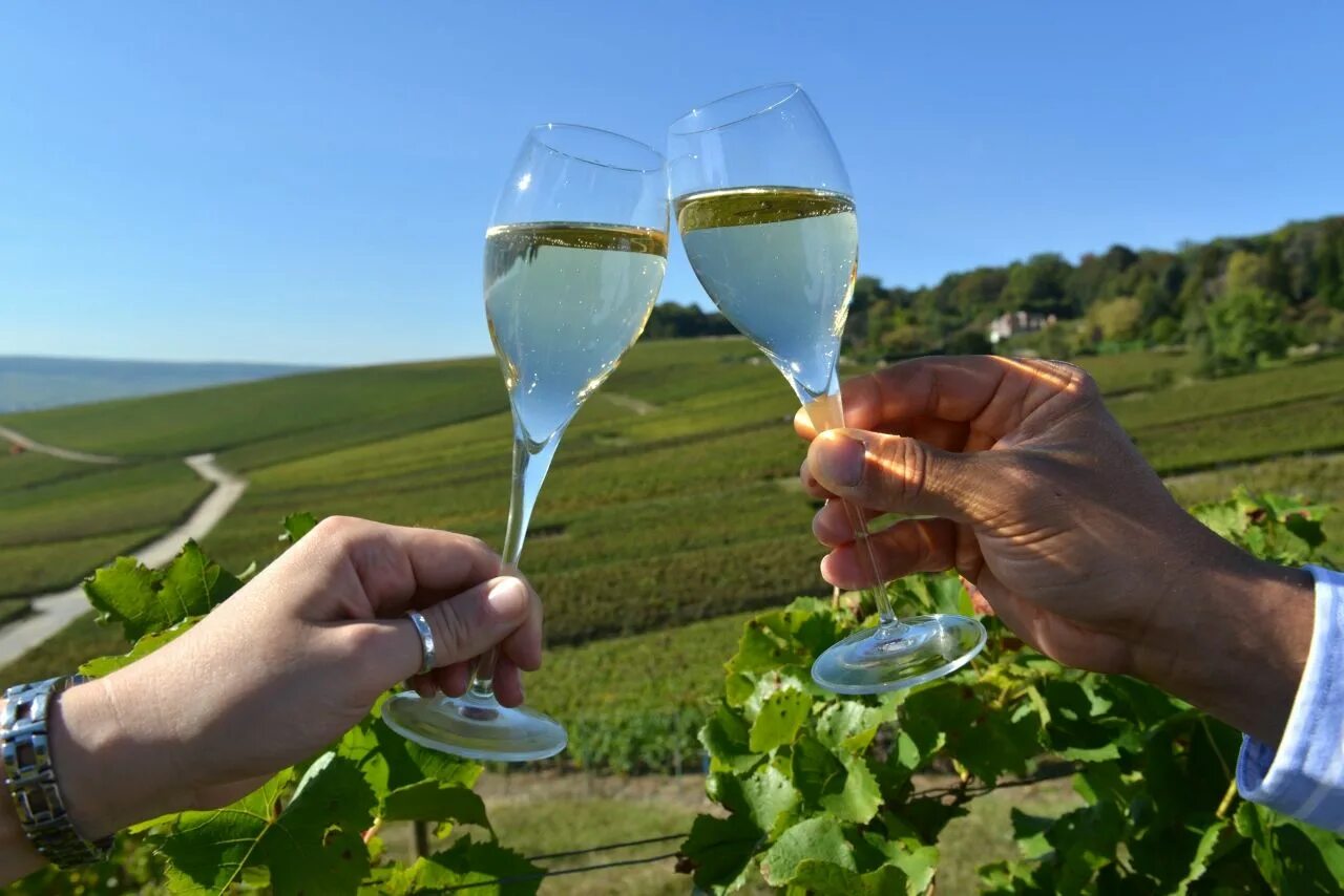 Экскурсия шампанское. Шампанское на природе фото. Champagne Tour. Шампанское Париж. Oenotourisme.