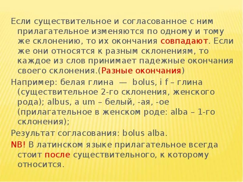 Прилагательные первой группы. Согласование существительных с прилагательными в латинском. Согласование существительного с прилагательным. Согласование существительных и прилагательных в латыни. Согласование существительного и прилагательного в латыни.