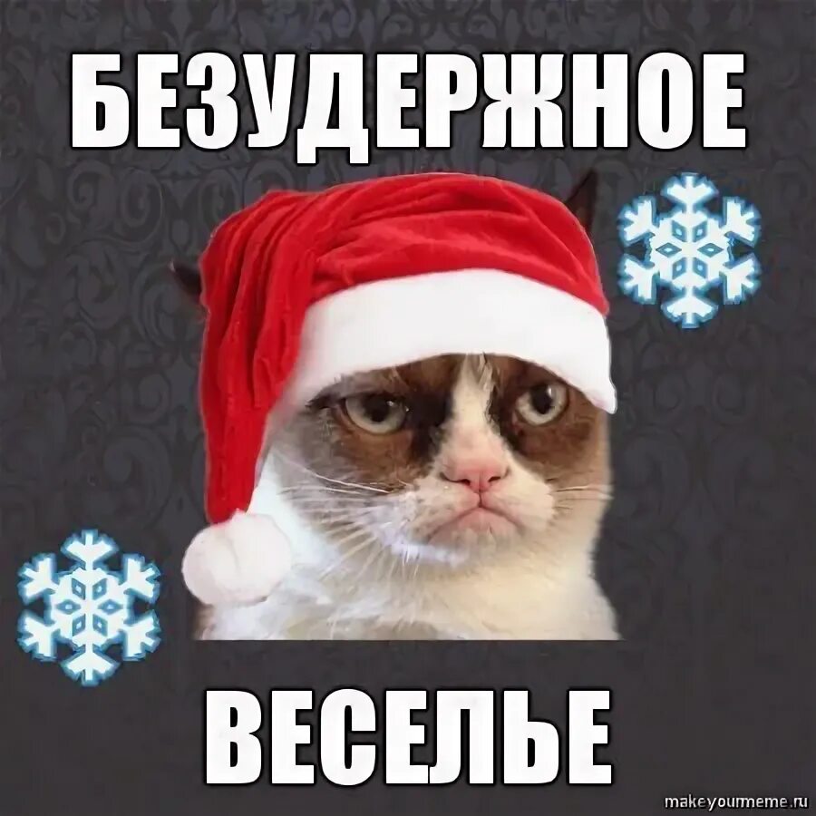 Безудержное новогоднее веселье картинка. Кот безудержное веселье. Безудержное веселье новый год. Мемы про веселье. Безудержное веселье.