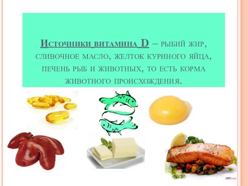 Витамин д3 это рыбий жир. Рыбий жир витамины б6. Витамины в Рыбном жирн. В рыбьем жире есть витамин д. В печени много витамина