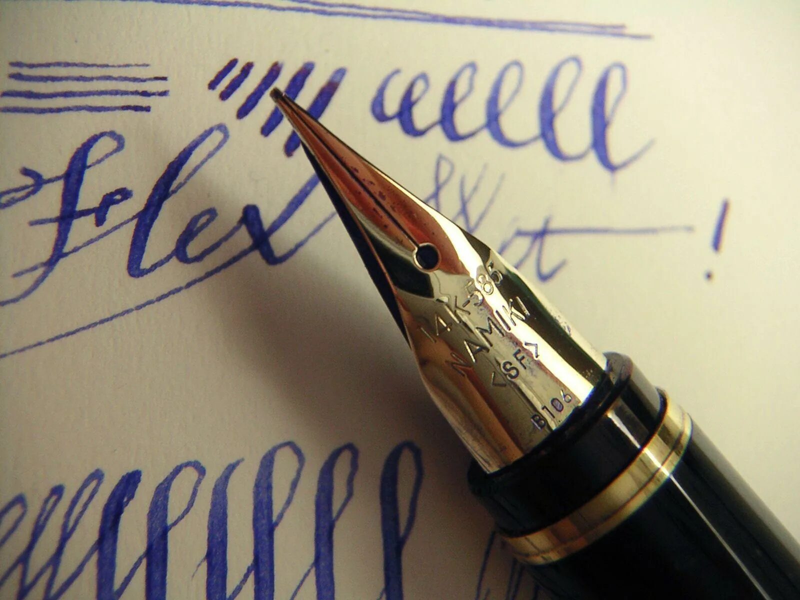 Pen is the best. Pilot Flex Fountain Pen. Надписи перьевой ручкой. Перьевая ручка с пером. Роспись перьевой ручкой.