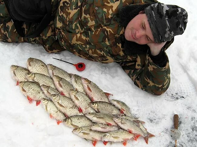 Зимняя рыбалка в Самарской области. Зимняя рыбалка Брянщина. Рыбалка на Волге зимой. Зимняя рыбалка в Самаре. Запрет на рыбалку в брянской области