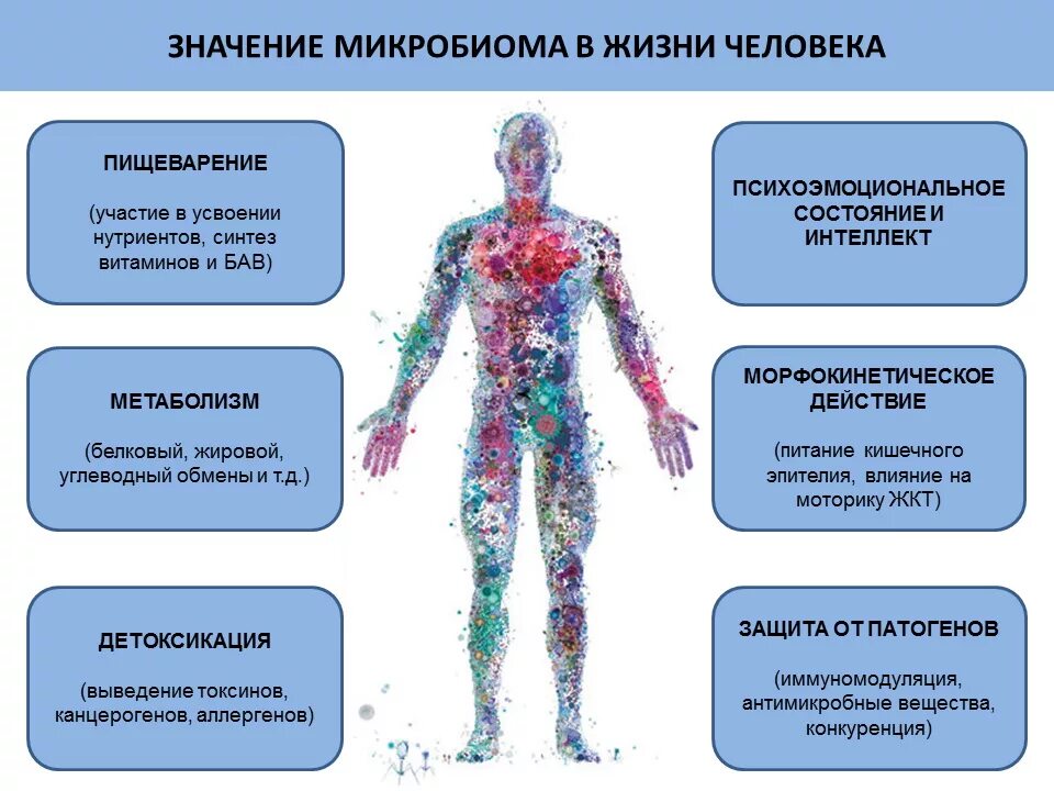 Подцепил какую болезнь. Влияние бактерий на человека. Микроорганизмы в организме человека. Влияние микроорганизмов на организм человека. Воздействие бактерий на организм.