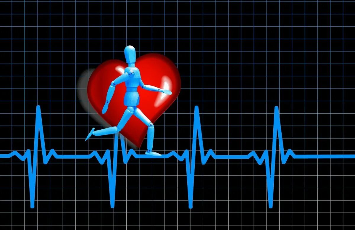Легкое сердцебиение. ЭКГ сердца. Электрокардиограмма сердца. ЭКГ рисунок. "Ритм" (сердечный).