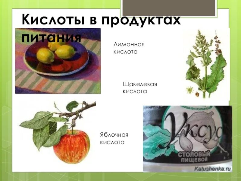 Продукты содержащие кислоту список. Кислоты в пище. Кислоты в продуктах. Кислоты в пищевых продуктах. Содержание кислот в продуктах питания.