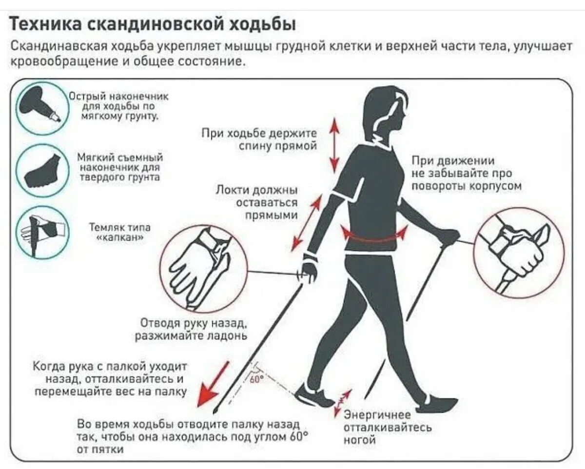 Облегчить ходьбу. Как правильно ходить с палками для скандинавской ходьбы. Правила ходьбы со скандинавскими палками для начинающих. Методика скандинавской ходьбы с палками для начинающих. Ходьба с палками Скандинавская как правильно ходить пенсионерам.