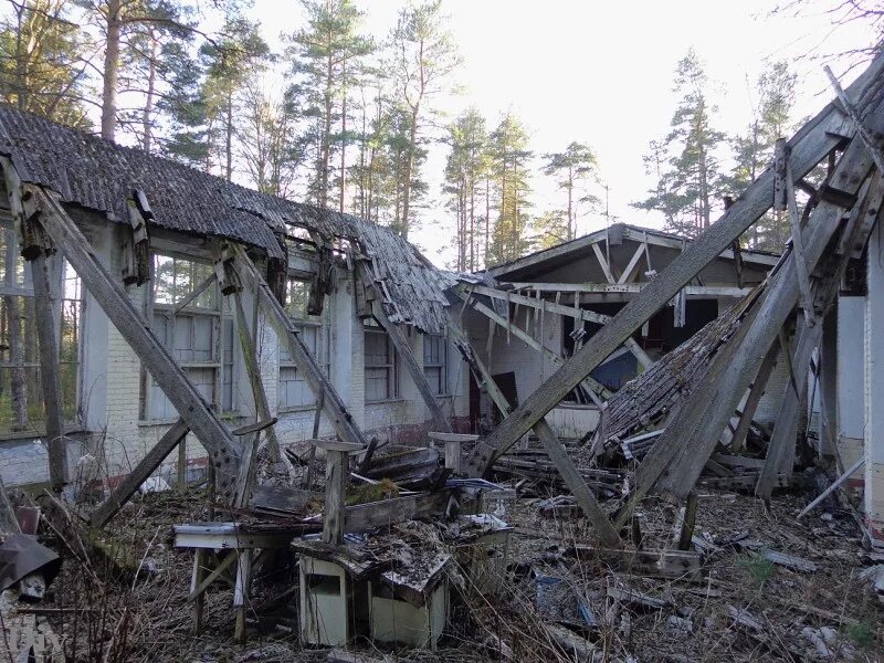 алые паруса поселок пески. турбаза алые паруса тольятти. алые паруса лагерь ленобласть. лагерь алые паруса кстинино. детский лагерь алые паруса ленинградская область.