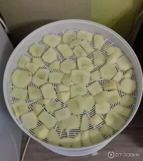 Яблоки в сушилке для фруктов