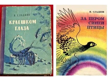 Сладков дзене