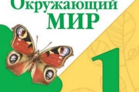 Окружающий мир 1 год обучения