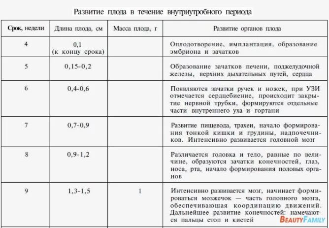 Внутриутробное развитие плода таблица. Периоды развития плода по неделям. Этапы внутриутробного развития плода таблица. Периоды развития плода по неделям таблица. Особенности внутриутробного развития человека