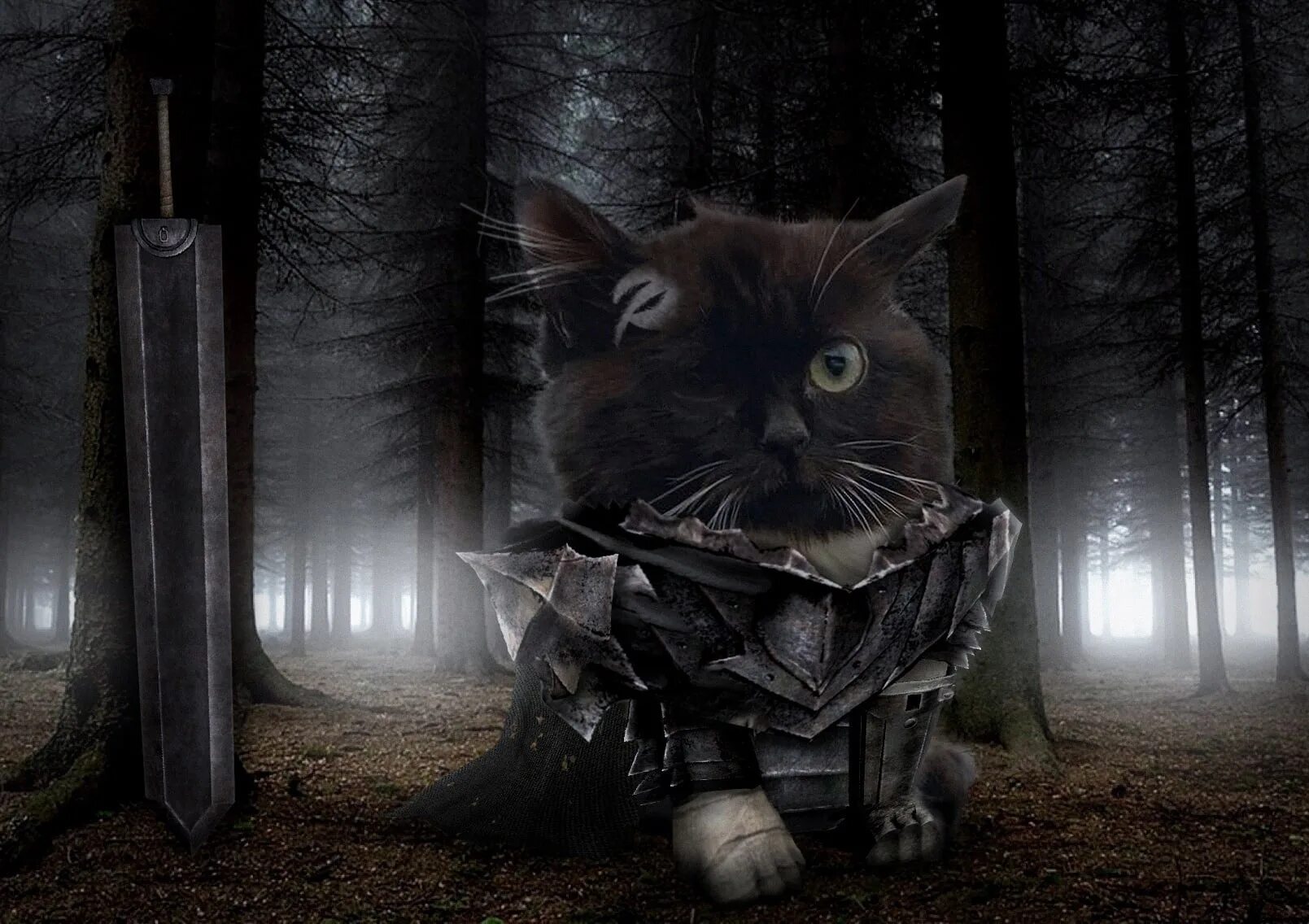 Кот с мечом. Берсерк мемы. Кот берсерк. Кошка викинг. Манга берсерк апостол вьяльд.