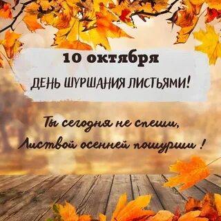 15 октября день листьев