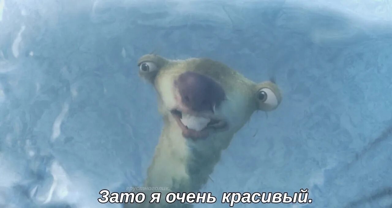 Ленивец сид. Ленивец сид мем. Сид из ледникового периода. Ленивец сид. Ну зато я.