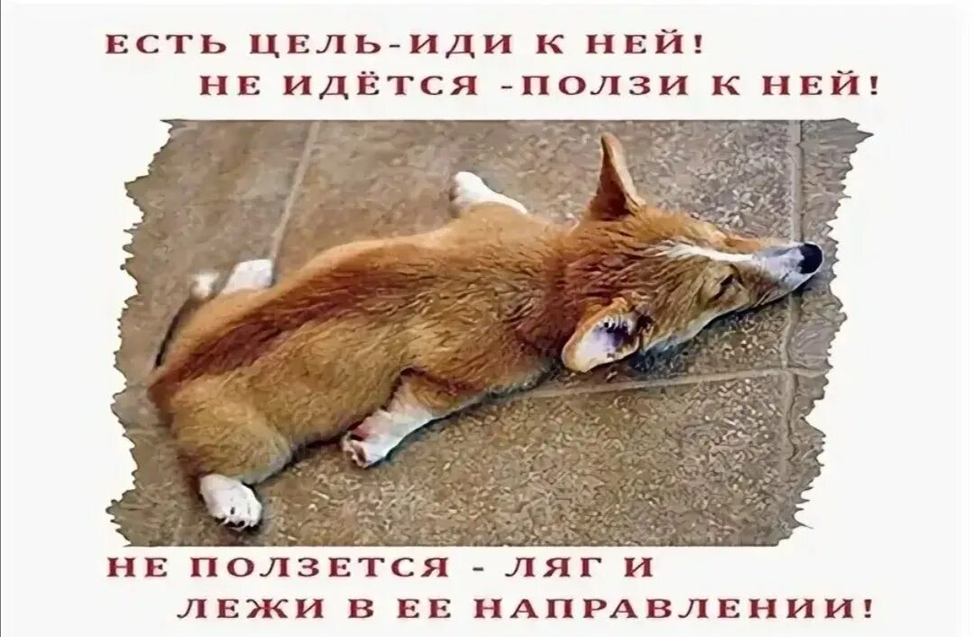 Везти везу ползти ползу