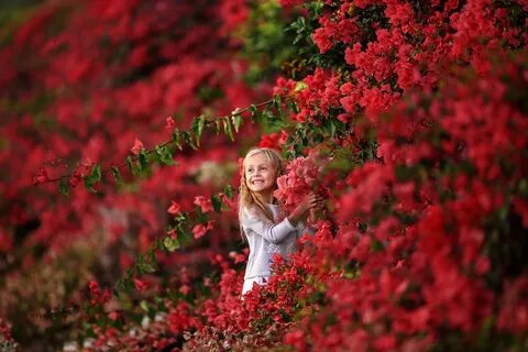 Фотограф ангелиос