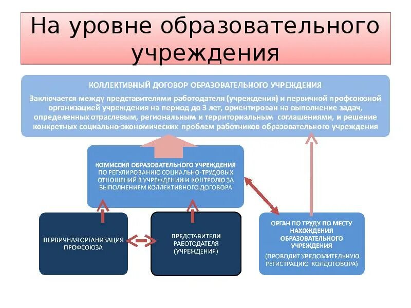 Договор образовательной организации. Структура коллективного договора образовательной организации. На каком уровне заключается коллективный договор. Социально - трудовые отношения в образовательных учреждениях.. Коллективное соглашение в области образования.